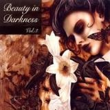 BEAUTY IN DARKNESS VOL.3 - Various Artists (Cd)