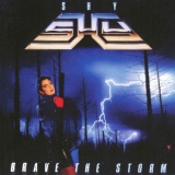 SHY - Brave The Storm (Cd)