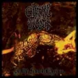 ETHEREAL WOODS - In The Forest Of Arden (Cd) ETHEREAL WOODS - In The Forest Of Arden (Cd)
