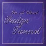 FUDGE TUNNEL - In A Word (Cd)