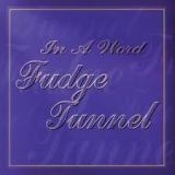 FUDGE TUNNEL - In A Word (Cd) FUDGE TUNNEL - In A Word (Cd)
