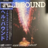 HELL BOUND - Norwegian Forest (12 HELL BOUND - Norwegian Forest (12