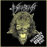 JESTER BEAST - Destroy After Use (12 JESTER BEAST - Destroy After Use (12