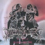 NOCTURNAL RITES - In A Time Of Blood And Fire (12 NOCTURNAL RITES - In A Time Of Blood And Fire (12
